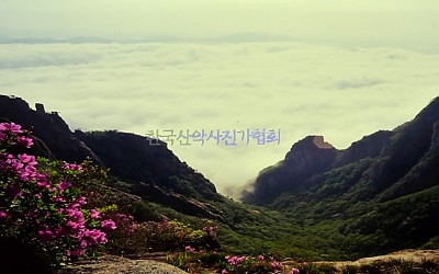 월출산
