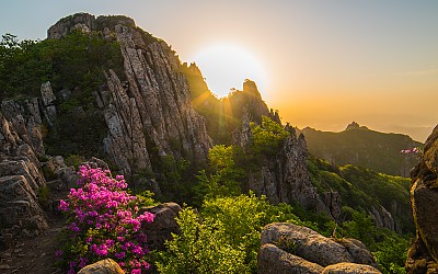 남도의 산