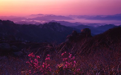春來不似春(춘래불사춘)
