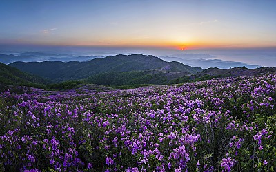 일림산추억