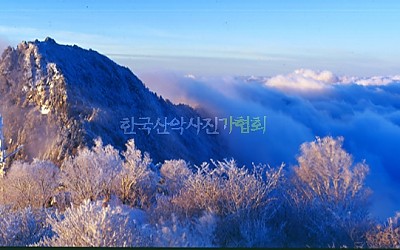 아쉬운 날.