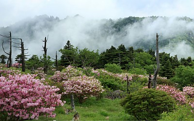 일출봉