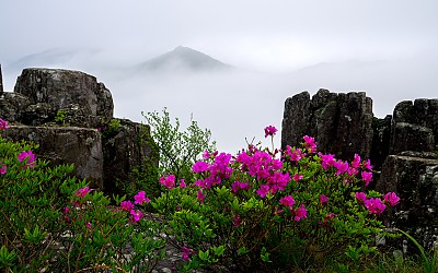 입석대