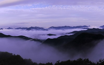 가입인사드립니다