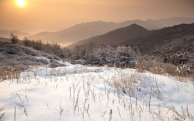 팔랑치
