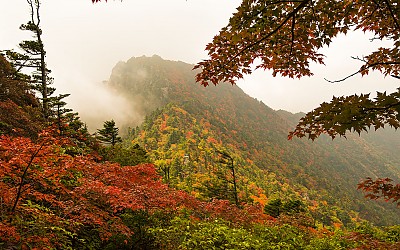 중봉
