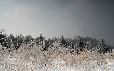 바래봉 삼수