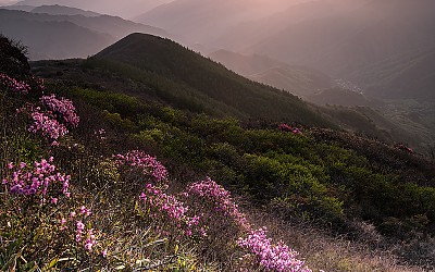 만복대