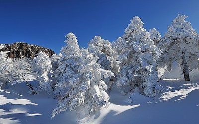 한라산설경