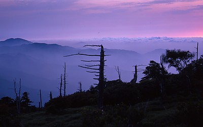 지리산