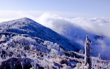 2010-개인전 보라 그것이 아주 좋았다! 톤보정하고 모아서 다시 포스팅 합니다.^^-4