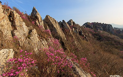 주작산.
