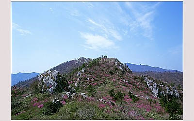 주작산의 봄