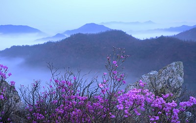 주작산.