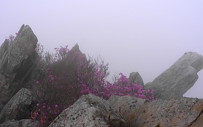 주작산.