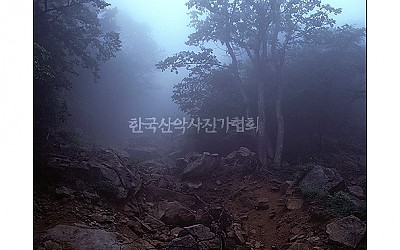 주전골의 아침
