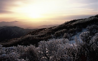 중봉