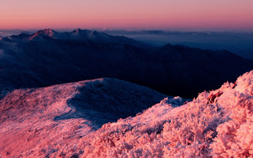 선배님들의 사진을 한번 따라해 볼라치면