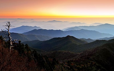 여명