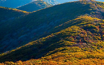 지리산의 선