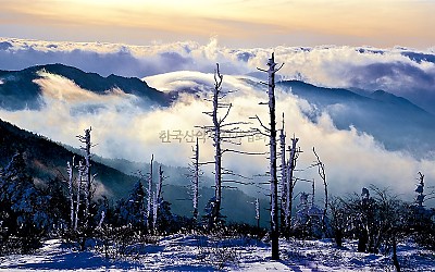 지리산雲海