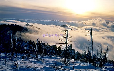 지리산운해.4