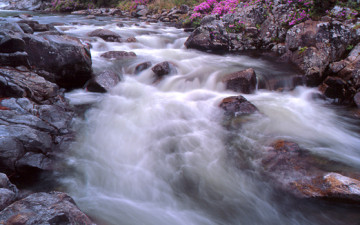 지리산의 힘 - 계류