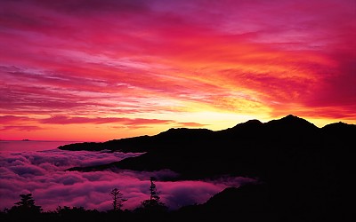 지리산의 美-2