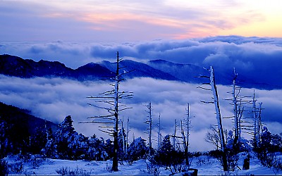 지리산 운해 3