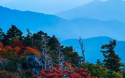 지리산의 가을