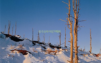 바람의흔적