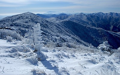  눈 내린 날