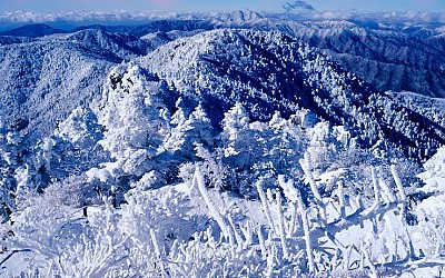 지리산