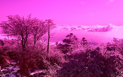               백록담.2