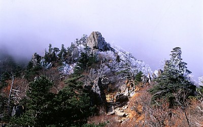 제석의    봄