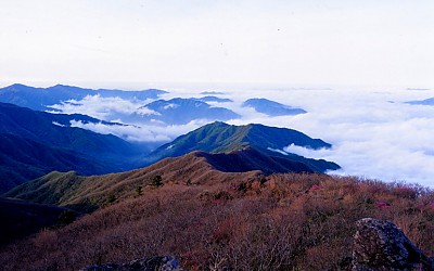 노고단  의  미