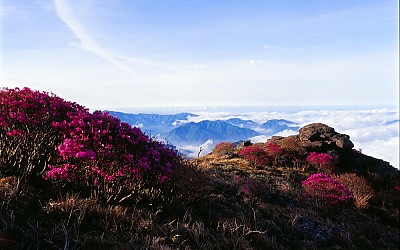 노고단의  미