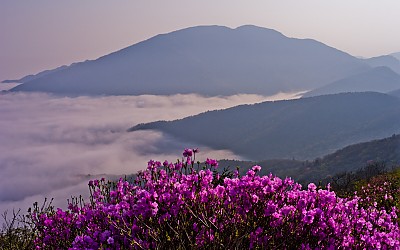 노고단