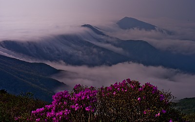노고단