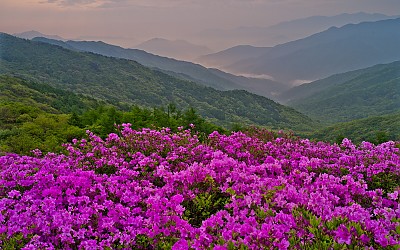 바래봉