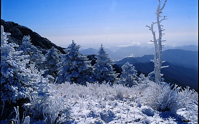 제석에서