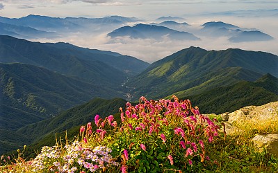 지리산의 아침