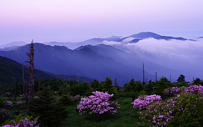 제석봉