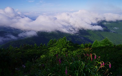 반야봉