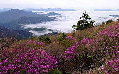 설악산