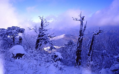      덕유산