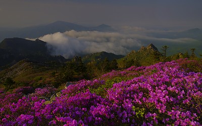 설악산 귀떼기청