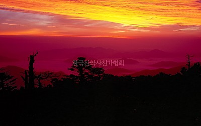 여름날 태백산