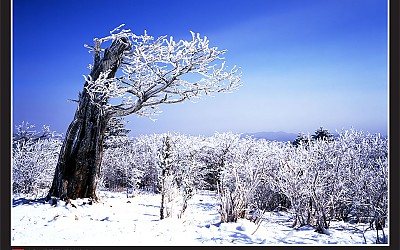 태백산