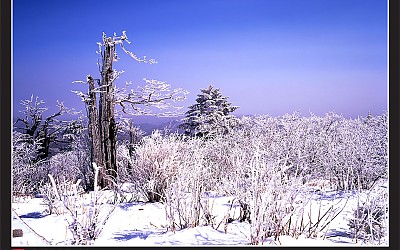 태백산